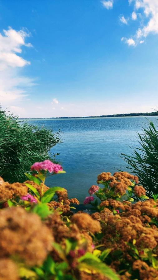 Madagascar Apartman Kestel Dış mekan fotoğraf